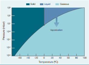 Fast Heating Heat Transfer Vacuum Chamber , Vacuum Drying Oven SUS 304