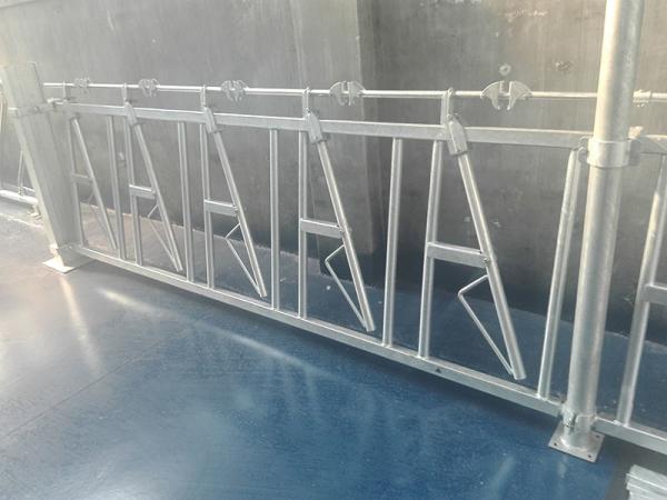 O alimentador galvanizado do Headlock do gado da tubulação de aço de mergulho quente almofada o tamanho de 10FT-14FT