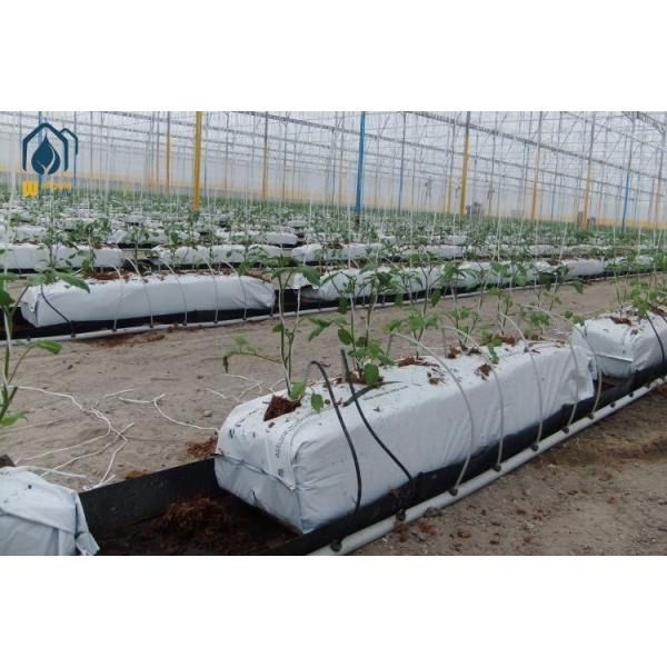 Rectangular Garden Growing Trough 100m Hydroponic Gutter Systems Planting with Cocopeat