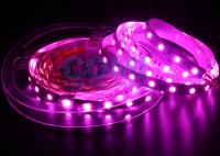 Uma cor cor-de-rosa 25000K de 5050 luzes de tira do diodo emissor de luz, 12/24 volts conduziu tiras claras 12mm FPC