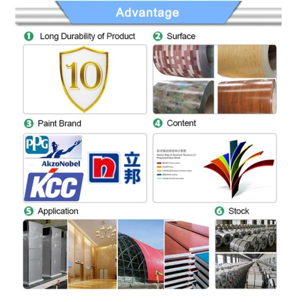 JIS G3321 0,45 mm Spangle regular PPGI PPGL prepintado con bobina de acero galvalume revestimiento de pared