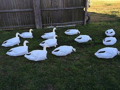 SNOW GOOSE AVERY GREENHEAD GEAR GHG HOT BUY SHELL SNOW LIGHT GOOSE DECOYS DOZEN