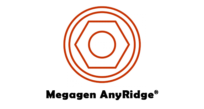 Держатель устоя 10mm включая Arum Premill внутреннего титана зубного имплантата MegaGen Anyridge® пустой