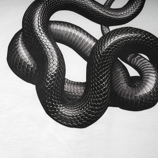 Gender-Neutral 3D Printed Snake Loose T-shirt for Street Fashion in Various Sizes