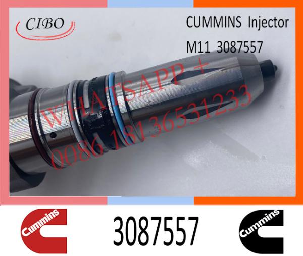 Com-minutos do injetor de combustível no injetor comum conservado em estoque 3087557 do trilho de M11I SM11 QSM11 4307516 4061851 4307517