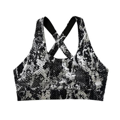 Sutiã traseiro da ioga da cruz de Custom Logo Bras Gold Snake Print do fabricante da fábrica do Oem