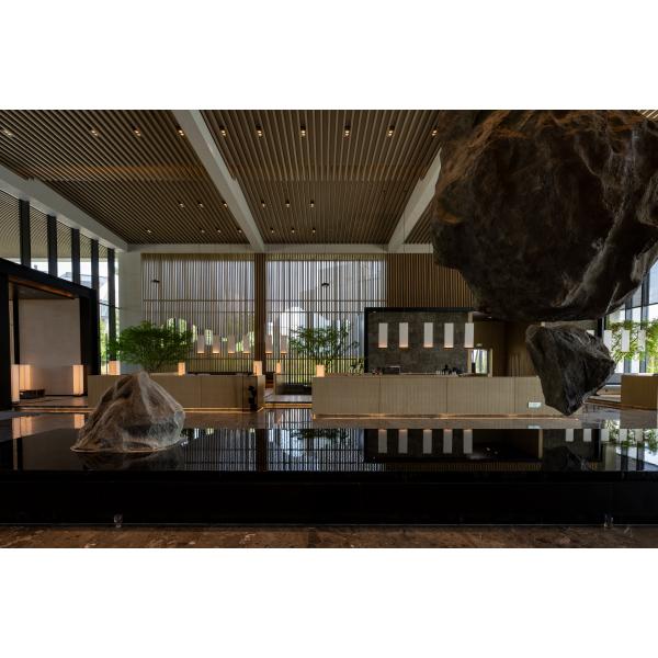 Détecteur d'usure Style Resort Appartement Ensemble de meubles Canapé et chaises personnalisés