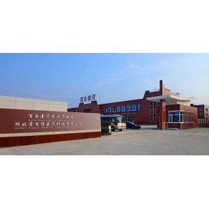 Baihe Medical Technology (Wuhan) Co., Ltd.