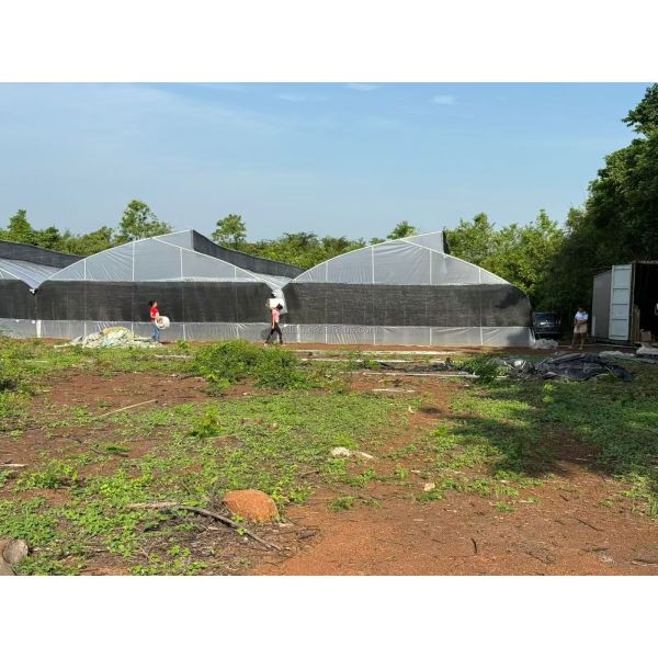 Powerful Auto Controlled Commercial Backyard Greenhouse Sheeting Polycarbonate