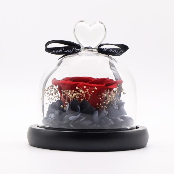 Christmas Reindeer Eternal Rose Flower In Glass Perfect For Gift