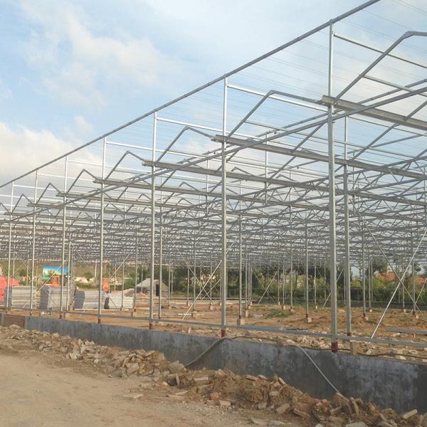 Advanced Multi-Span Hydrophonic Greenhouse for Commercial Supply Gutter Height 3m-6m