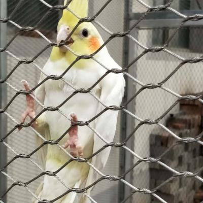 Flexible Zoo Enclosure Mesh Hand Woven Flexible 304 SS Wire Rope Mesh Bird Netting