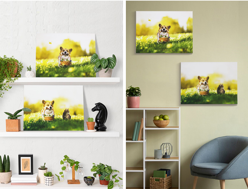 Усовершенствуйте свой домашний декор с помощью Inkjet Polyester Canvas IMATEC S
