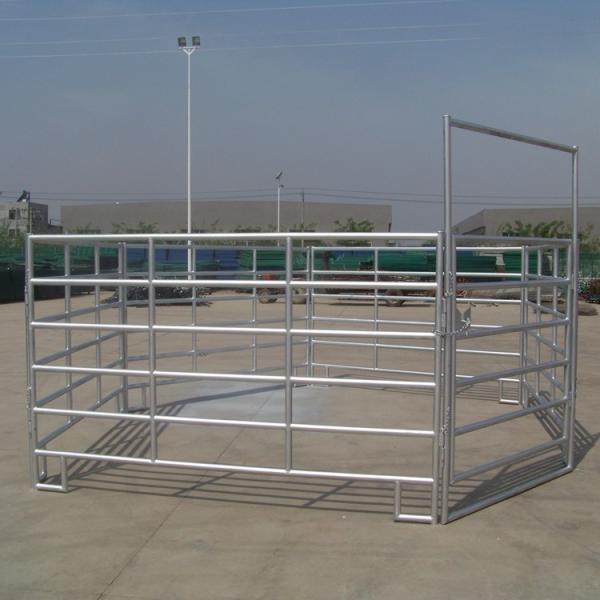 Livestock Cattle Corral Horse Panel Fence Bulk Cheap Round Tube Fence