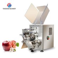 220V fruto comercial feito sob encomenda Peeler, Apple elétrico Peeler e máquina Tengsheng do descaroçador