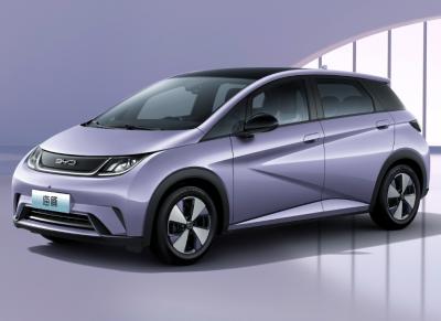 Automobile Factory 2WD BYD EV Car Whale Pure New Energy Electric Vehicle