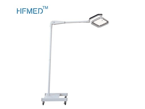 Luzes cirúrgicas portáteis do exame fixadas na parede para clínica dental/veterinária