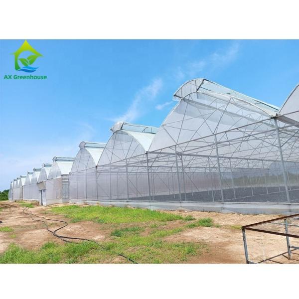 Agricultural Polyhouse Multi-span Plastic UV Film Greenhouse Drying House For Flowers