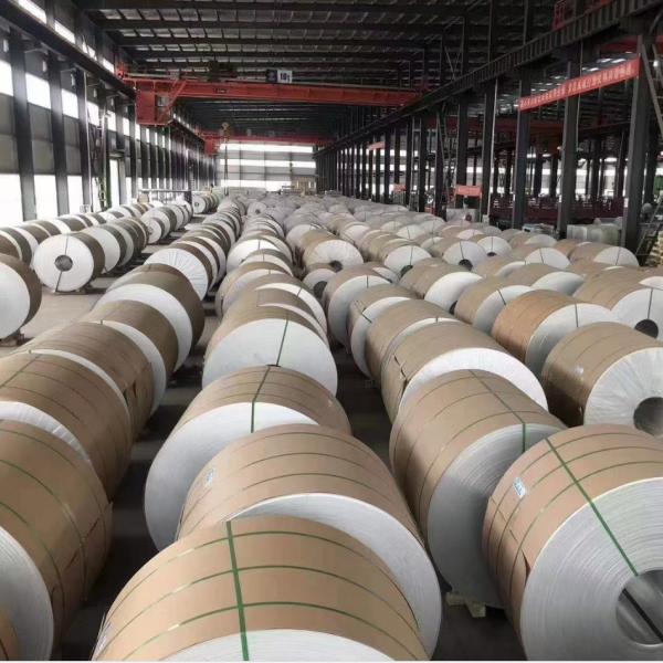 Aluminum Alloy 1100 Aluminum Coil (0.6mm, Customizable Extra-Wide Width, White PE Coating) for Bus Interior Panels