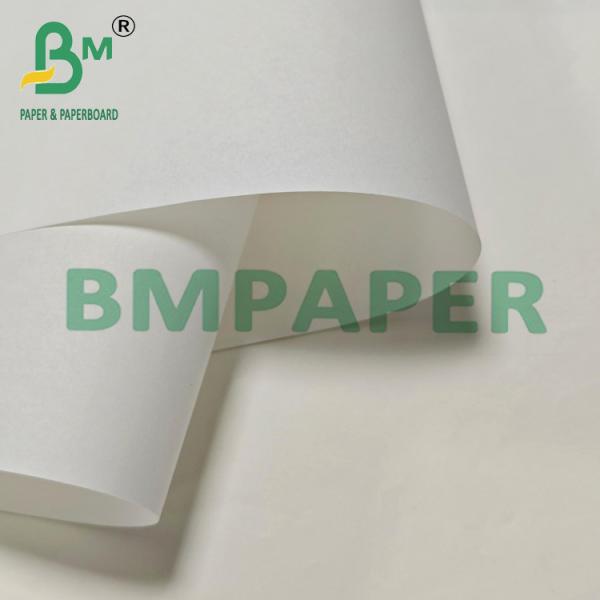 30grs 800mm Blank Grease Resistant Paper For Fried Food Packaging