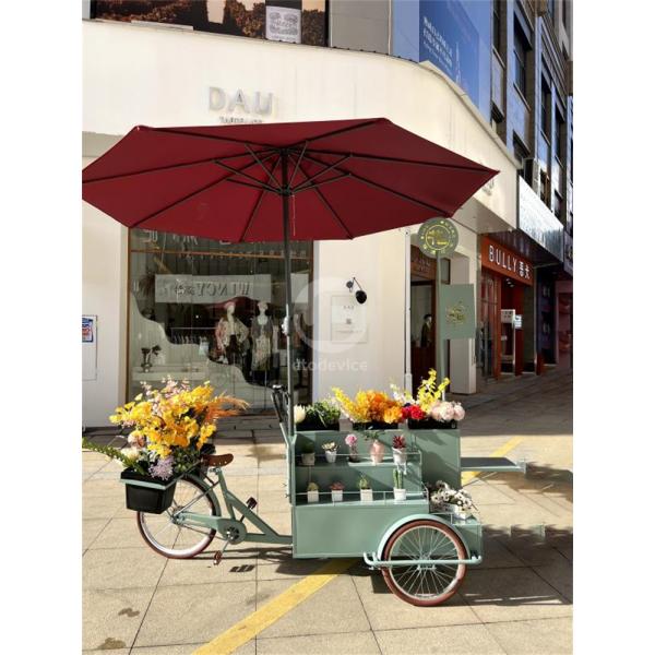 Street Food Carts Crepe Cart and Mobile Three-Wheeled Bicycles for Manufacturing Plant