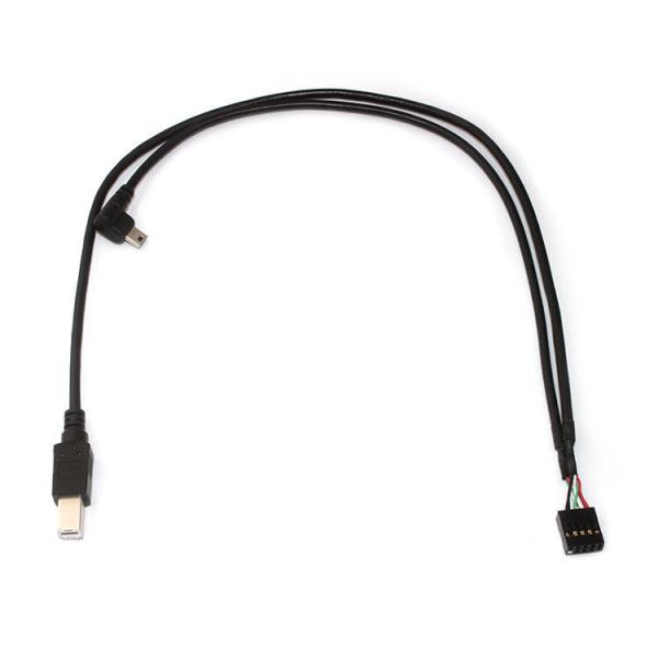 10 Pin 30 AWG 2.54mm Pitch Molex Cable Assembly 150mm Comprimento Molex 22-55-2101