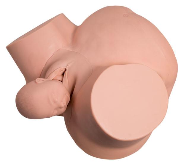 Demonstration Soft PVC Vacuum Childbirth Simulator