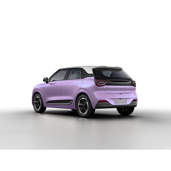 Max Smart Energy Vehicle Dongfeng Nami 01 2024 430 with 4030*1810*1570 Body Structure