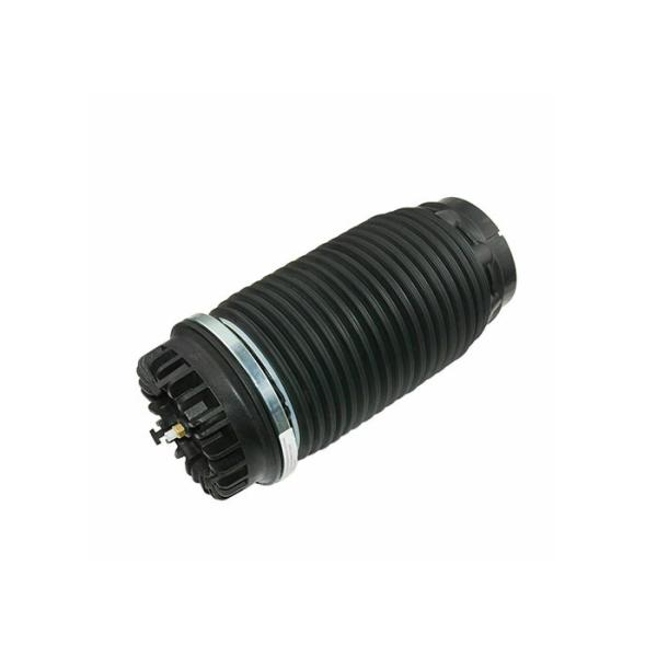 Rear Left Right Air Suspension Springs Bag For Dodge Ram 1500 3.0L 3.6L 5.7L