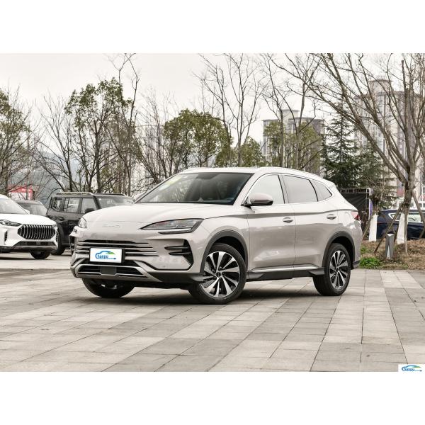 Swing Door PHEV Custom Ride-On Engine Mounts Gaskets for BYD Luxury Type Suv Car