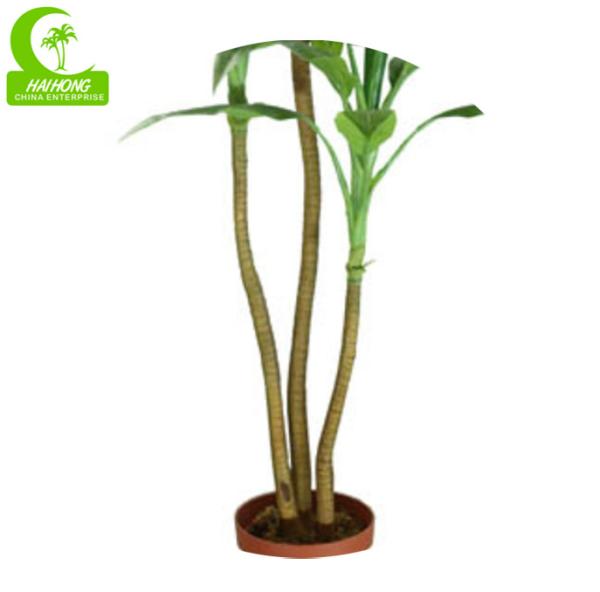 Dracaena artificial de alta qualidade de Cornstalk Cracaena com as folhas reais do toque para a venda quente