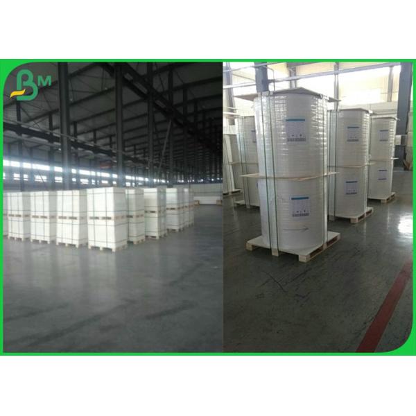 168g Printable Stone Paper For Disposable Packaging Box Waterproof 700 X 1000mm