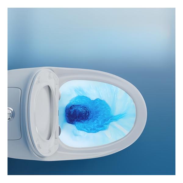 Slowly Closing Seat Cover One-Piece Elongated Non-Electric Toilet for American Market