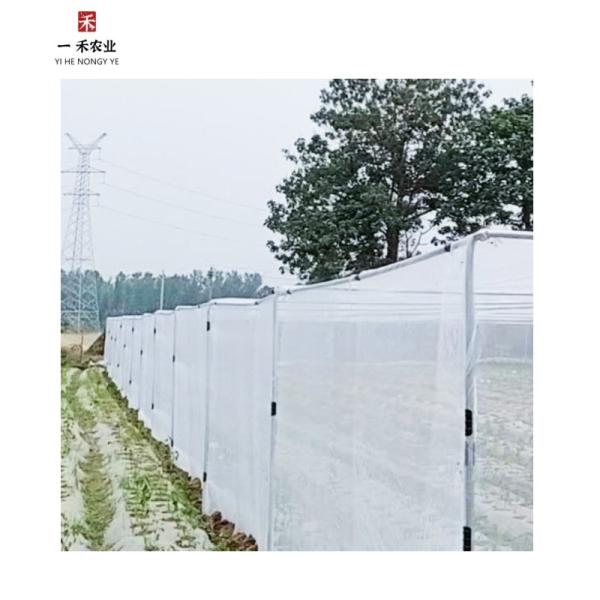 Greenhouse Net Agriculture Polyethylene Insect Mesh for Vegetable Gardens HDPE Folding