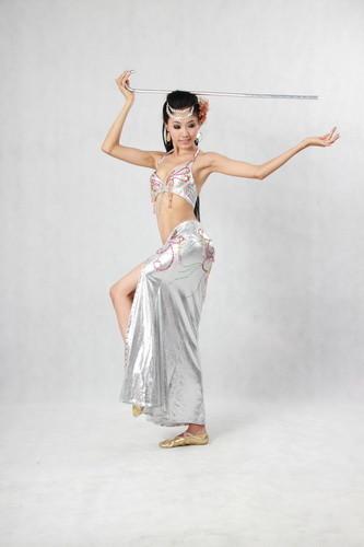 Silver Belly Dance Wear 2 Pcs Metallic Halter Bikini Top Floor Length Side Slit Skirt