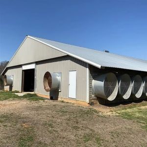 Weather-Resistant Steel Structure Chicken House With Fast Install And Customized