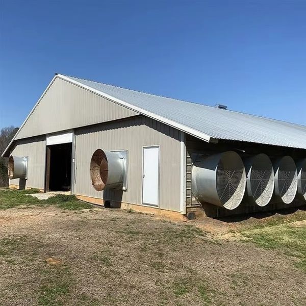 Weather-Resistant Steel Structure Chicken House With Quick Installation And Customizable Features