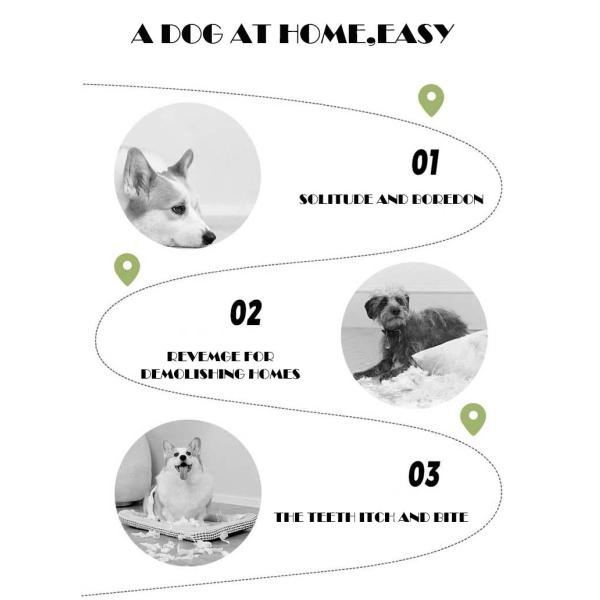 Dog Puppy Rope Chew Toys Set Cotton Rope Interactive Toy for Small Medium Large Dogs