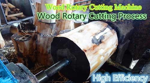 Ice Cream Sticks Rotary Cutting Machine Manufacture
