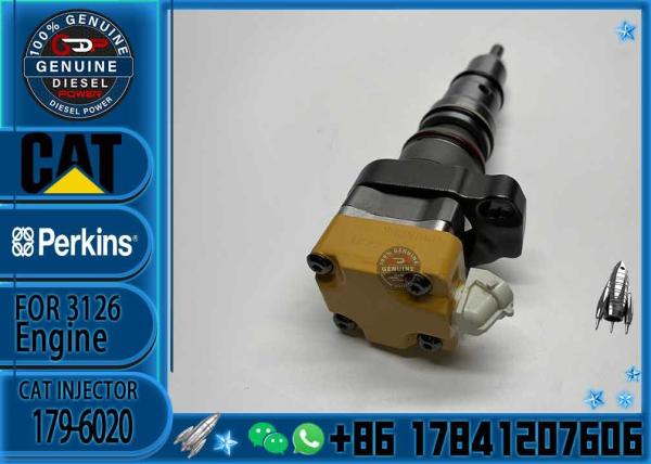 Diesel Engine Fuel Injector 1796020 Good Price Common Rail Injector 179-6020 For Ca t 3412E Engine Injector