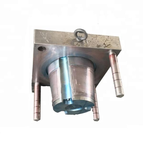 Vegetables Grow Pot Hot Runner Plastic Injection Moulding Products