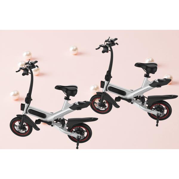Super Light Foldable Electric Bike , Elegant And Compact Electric Assist Bicycle