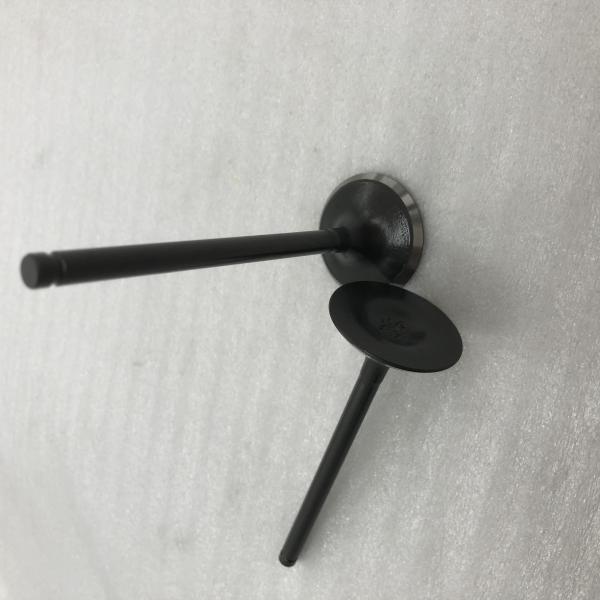 Steel Made DAYANG Three Wheel Motorcycle Oil-cooled Engine Exhaust Valve For CB200-A