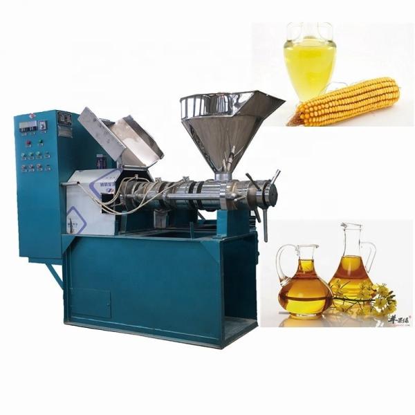 1600*1300*1750 mm Cold Pressed Oil and Diesel Screw Pressing Machine for Home Manual
