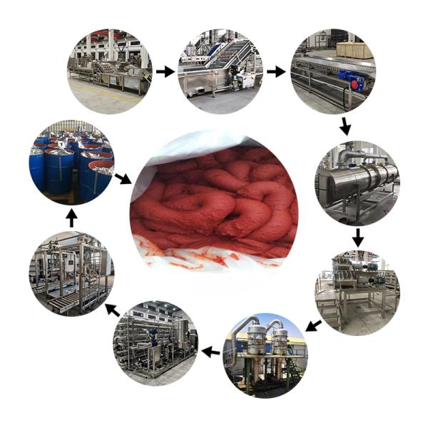 2025 Automatic Tomato Paste Filling Machine Production Line Tomato Sauce Production Line