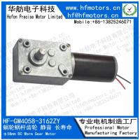 Motor impulsor del gusano del metal de GM4058-3162ZY 24V 14RPM 2000mA 40m m