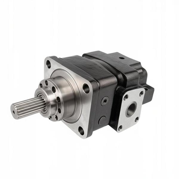 EexcavaStart DL Hydraulic Gear Pump SDYB567L483 for Shovel Loader SD25-5