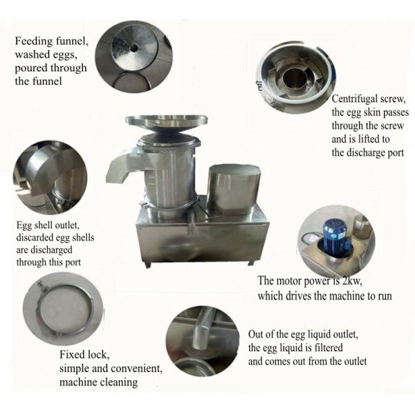 Multi-Function Never Rust Stainless Steel 304 Egg Yolk Separator Smart