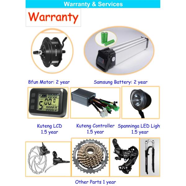 1:1 PAS Electric Fat Tire Mountain Bike Light Blue Color 48V 15A Controller