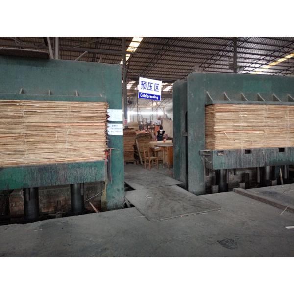 Finger Jointed Core Poplar 20mm Film Faced Plywood